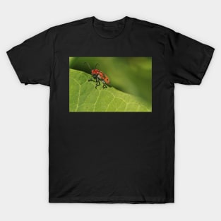 Red and black beetle on a leaf T-Shirt
